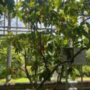 ヒメ日記 2025/07/08 23:44 投稿 土屋 熟女の風俗最終章 横浜本店