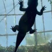 ヒメ日記 2025/09/15 10:35 投稿 土屋 熟女の風俗最終章 横浜本店