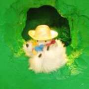 ヒメ日記 2025/10/04 14:04 投稿 土屋 熟女の風俗最終章 横浜本店