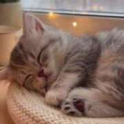 ヒメ日記 2025/12/04 04:24 投稿 土屋 熟女の風俗最終章 横浜本店