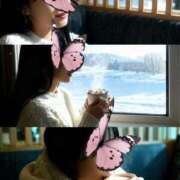 土屋 誠に申し訳ございませんm(__)m 熟女の風俗最終章 横浜本店