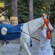 ヒメ日記 2025/02/20 08:45 投稿 まなつ 奥鉄オクテツ神奈川店（デリヘル市場グループ）