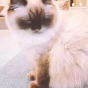 ヒメ日記 2025/02/22 07:05 投稿 まなつ 奥鉄オクテツ神奈川店（デリヘル市場グループ）