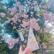 ヒメ日記 2025/03/19 12:15 投稿 ほたる プリコレ（PRINCESS COLLECTION）