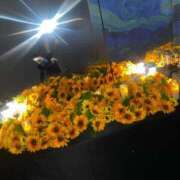 ヒメ日記 2025/04/28 20:34 投稿 ほたる プリコレ（PRINCESS COLLECTION）