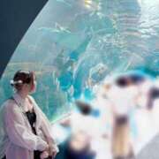 ヒメ日記 2025/08/13 18:36 投稿 ほたる プリコレ（PRINCESS COLLECTION）