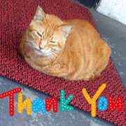 ヒメ日記 2025/04/04 11:05 投稿 なほみ clubあきな