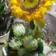 ヒメ日記 2025/06/28 10:08 投稿 なほみ clubあきな