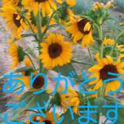 ヒメ日記 2025/07/20 19:17 投稿 なほみ clubあきな