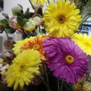 ヒメ日記 2025/08/12 10:04 投稿 なほみ clubあきな