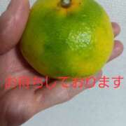 ヒメ日記 2025/10/13 21:01 投稿 なほみ clubあきな