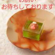 ヒメ日記 2025/11/26 16:41 投稿 なほみ clubあきな