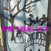 ヒメ日記 2025/12/05 16:55 投稿 なほみ clubあきな