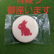 ヒメ日記 2025/12/16 16:49 投稿 なほみ clubあきな