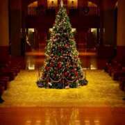 なほみ 12時～&Xmasイブ clubあきな