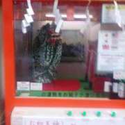 ヒメ日記 2026/01/08 09:40 投稿 なほみ clubあきな