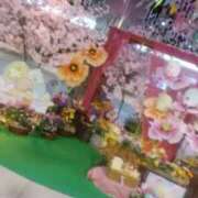 ヒメ日記 2026/04/10 09:44 投稿 なほみ clubあきな