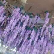 ヒメ日記 2026/04/21 10:30 投稿 なほみ clubあきな