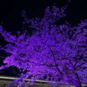 ヒメ日記 2025/04/10 12:34 投稿 みゆ Profile～プロフィール～（那覇）