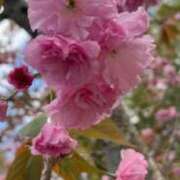 ヒメ日記 2025/04/15 14:03 投稿 みゆ Profile～プロフィール～（那覇）