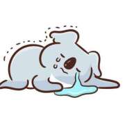 せいは（極上SPコース対応） 土下座🙇🏻‍♀️ EIGHT（エイト）～8つのお約束と無限の可能性～