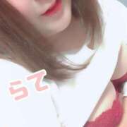 ラテ そろそろ向かうよー💕 茨城神栖ちゃんこ