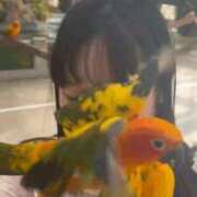 ヒメ日記 2025/05/24 09:01 投稿 MEGU『メグ』 GG