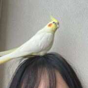 ヒメ日記 2025/06/22 08:54 投稿 MEGU『メグ』 GG