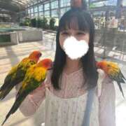 ヒメ日記 2025/12/15 10:22 投稿 MEGU『メグ』 GG