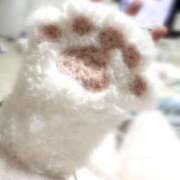 ヒメ日記 2026/01/10 08:59 投稿 MEGU『メグ』 GG