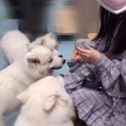 ヒメ日記 2026/02/07 08:49 投稿 MEGU『メグ』 GG