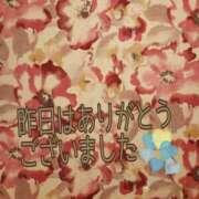 ヒメ日記 2025/04/22 10:42 投稿 舐方(なめかた) 人妻最後の砦 水戸店