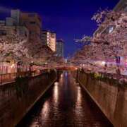 ヒメ日記 2025/04/09 07:18 投稿 姫華(ひめか) デザインヴィオラ東京