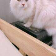 ヒメ日記 2025/12/02 22:51 投稿 みそら 池袋サンキュー