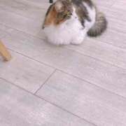 みそら いるよん 池袋サンキュー