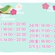 ヒメ日記 2025/02/19 05:52 投稿 かすみ ちゃんこ千葉東金店