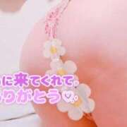 ヒメ日記 2025/04/10 15:21 投稿 かすみ ちゃんこ千葉東金店