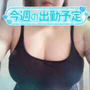 ヒメ日記 2025/07/15 20:01 投稿 かすみ ちゃんこ千葉東金店