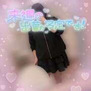 ヒメ日記 2025/11/16 19:15 投稿 かすみ ちゃんこ千葉東金店