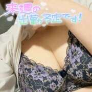 ヒメ日記 2025/12/06 00:15 投稿 かすみ ちゃんこ千葉東金店