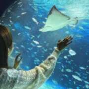 ヒメ日記 2025/07/01 21:06 投稿 かすみ 奥様メモリアル