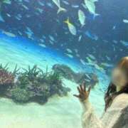 ヒメ日記 2025/09/19 10:06 投稿 かすみ 奥様メモリアル