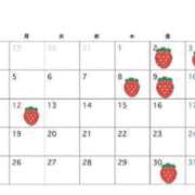 ヒメ日記 2025/12/20 16:06 投稿 かすみ 奥様メモリアル