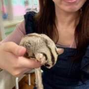 ヒメ日記 2026/02/11 22:06 投稿 かすみ 奥様メモリアル