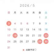 ヒメ日記 2026/04/24 10:03 投稿 かすみ 奥様メモリアル