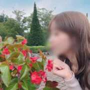 ヒメ日記 2026/08/26 11:12 投稿 かすみ 奥様メモリアル