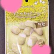 ヒメ日記 2025/02/17 10:23 投稿 ふうか いわき小名浜ちゃんこ