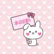 ふうか ୨୧ 出勤 ୨୧ いわき小名浜ちゃんこ