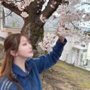 ヒメ日記 2025/04/03 21:30 投稿 める【奥まで感じる極上美女】 どMばすたーず 群馬 高崎店