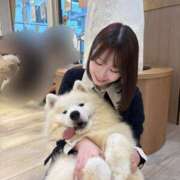 める【奥まで感じる極上美女】 🩷 すべっすべ👶🏻 どMばすたーず 群馬 高崎店